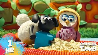 🪣 TIMMY AND OTUS BUILD A SANDCASTLE! | Back to School 🚌🔔