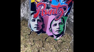 Obama Runtz  The Stoner Review