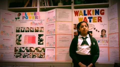 Nayha Sci-Tech 2017 Centennial P.S.