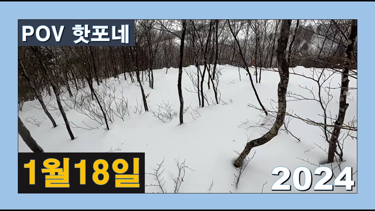 1,18,하쿠바 핫포네,Hakuba Happo One Snow Resort,白馬八方尾根スキー場,2024