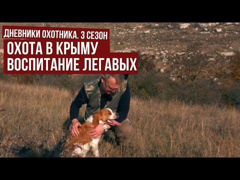 Охота в КРЫМУ с легавыми \ Воспитание ЛЕГАВЫХ \ Дневники охотник #3 \ #5