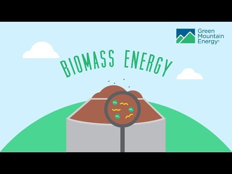 Vídeo: Com la biomassa crea electricitat?