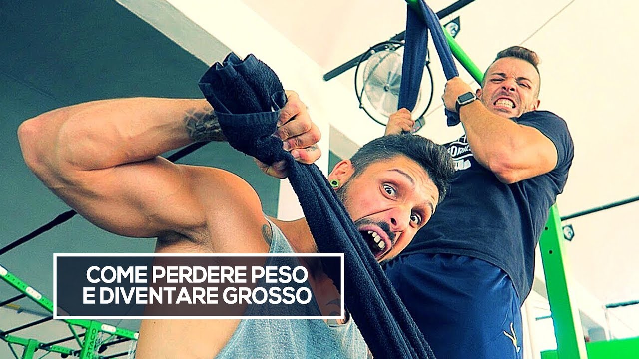 bruciatore di grasso del tè verde recensioni bodybuilding