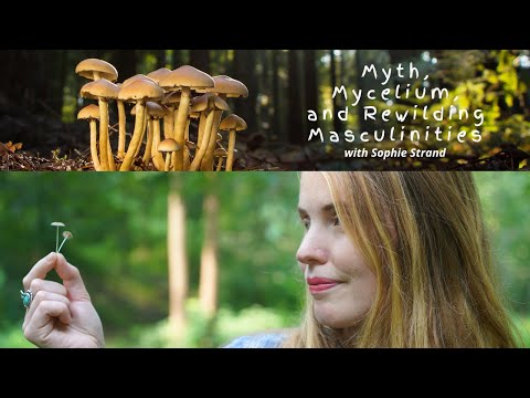 Myth, Mycelium, and Rewilding Masculinities