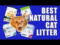Best Natural Cat Litter - Reviewing 4 Best Natural Cat Litters | Indoor Cat Guide
