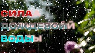 МАГИЯ СТИХИЙ. СИЛА ДОЖДЕВОЙ ВОДЫ.