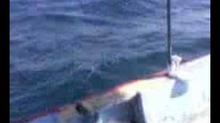 Bu Havada Balığa Çıkarsan Ve Yanına Ahmeti Alırsan