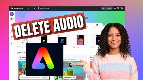 How to Delete Audio in Adobe Express 2025?