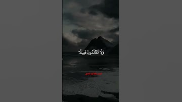 الشيخ سيد سعيد #تلاوة_خاشعة #تلاوات #قرآن_الصباح quran #share  #explore #reel#تلاوة_هادئة