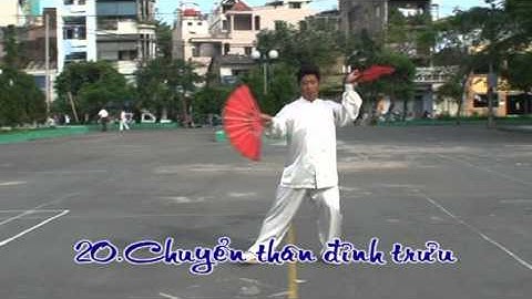 Thái cực song phiến 48 thức - VS Huỳnh Nghĩa Đạt