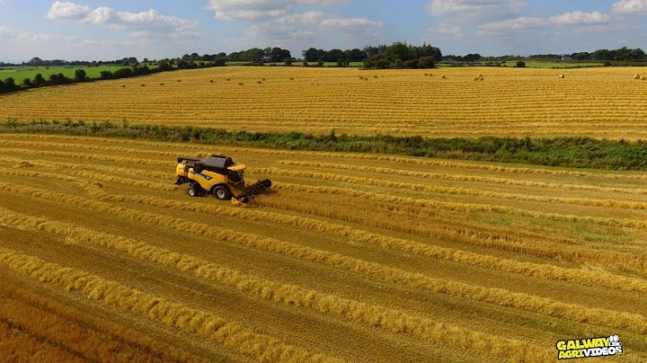 Harvest 2021 - Nicholas Hughes | New Holland CX8040