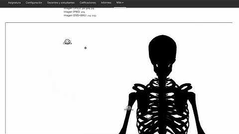 Pregunta tipo: arrastrar y soltar marcadores