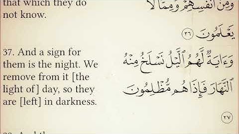 سورة يس ـ عمر الدريويز Surat Yaseen