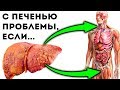 ОРГАНИЗМ ПРЕДУПРЕЖДАЕТ! НЕЯВНЫЕ признаки разрушения ПЕЧЕНИ!