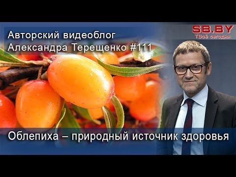 Облепиха – природный источник здоровья