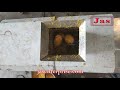 Video Image
