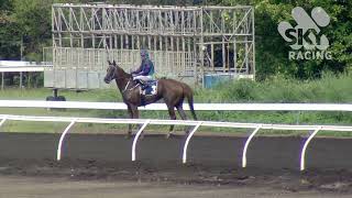 DTC 180323 R4