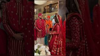 Vikrant  Mannats First Look From Wedding Daymannat manvik ayeshasingh adnankhan wedding