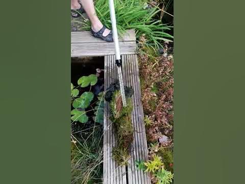 Moos aus dem Teich entfernen mit Algenhexe YouTube