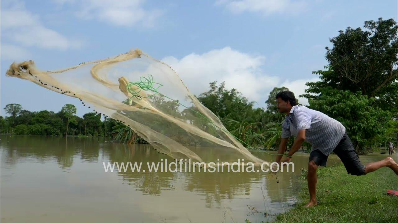 Assamese man tries to catch fish with the fling of a nylon fishing net:  Slow motion in Assam floods 