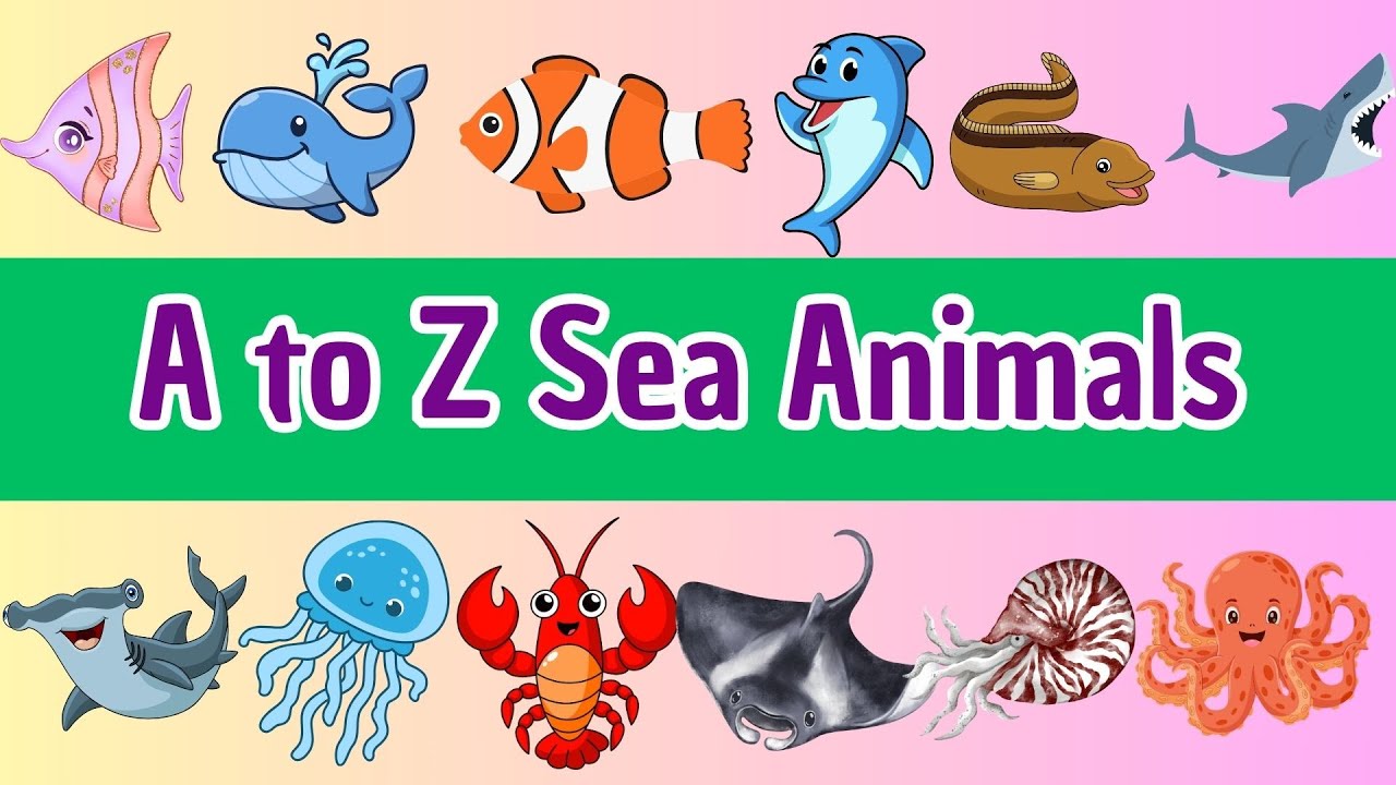 A to Z Sea Animals | A to Z Sea Animals for Kids | Learn Ocean Creatures with Fun Facts for Primary