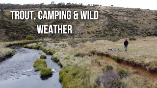 Overnighter in the Kosciuszko High Plains | Camping, Fishing and Wild Weather