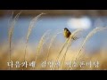 방울새(이수미) - 색소폰연주 : 리차드김