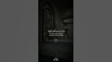 سورة النمل |(19-21)| الشيخ محمد ديبيروف #القرآن_الكريم