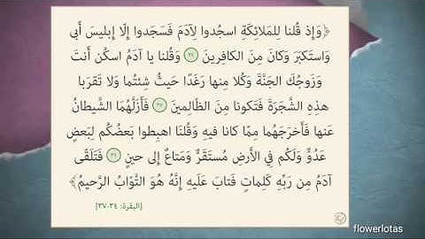 سورة البقرة من 34 الى 37