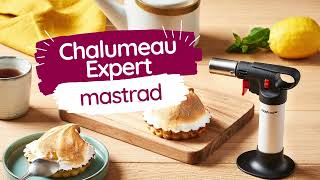 Mastrad - Recharge Gaz pour Chalumeau Professionnel Expert+ 393 ml - Les  Secrets du Chef