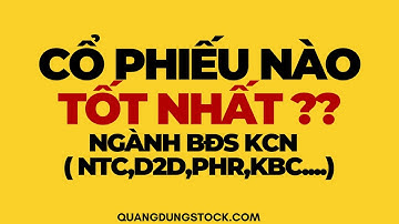 CỔ PHIẾU NÀO TỐT NHẤT NGÀNH BĐS KCN ( D2D, PHR, SZC,BCM,NTC,KBC....)| ĐẦU TƯ CHỨNG KHOÁN