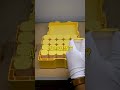 How to Choose the Right Silver Coins (Stack Smart)
