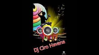 dps dj havana vol 21 2024