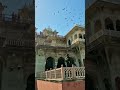 The Albert Hall Museum Jaipur ! Best Place in Jaipur #jaipurcity