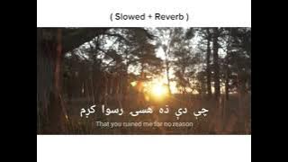 TAMASHAY Pashto Song ❤️ ( Slowed   reverb ) 🎵🥀