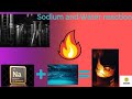 Sodium and water reaction.