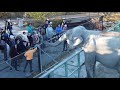 Рыбачка Магда! Улыбнитесь - вас снимает скрытая камера! Слоны Тайгана. Elephants life in Taigan.