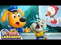 🔍Sheriff Labrador - Bebé Cisne Buscando a Su Mamá | Videos de Niños | BabyBus en Español