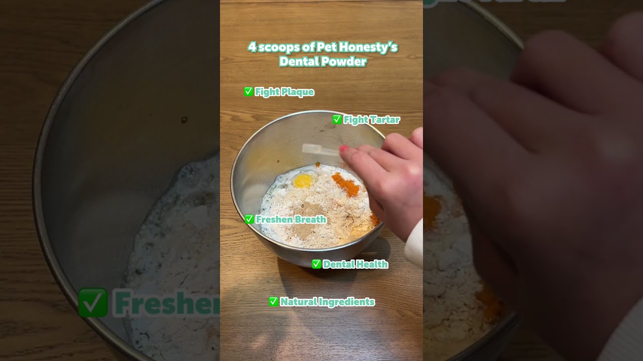 Homemade Dog Treats 100 For Just 3 