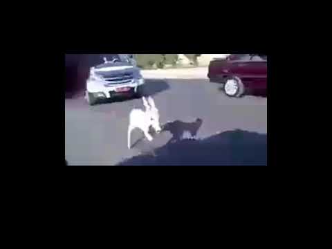 انت استثنائي