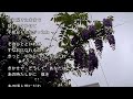 2026-5-14 きかせて/オフコース
