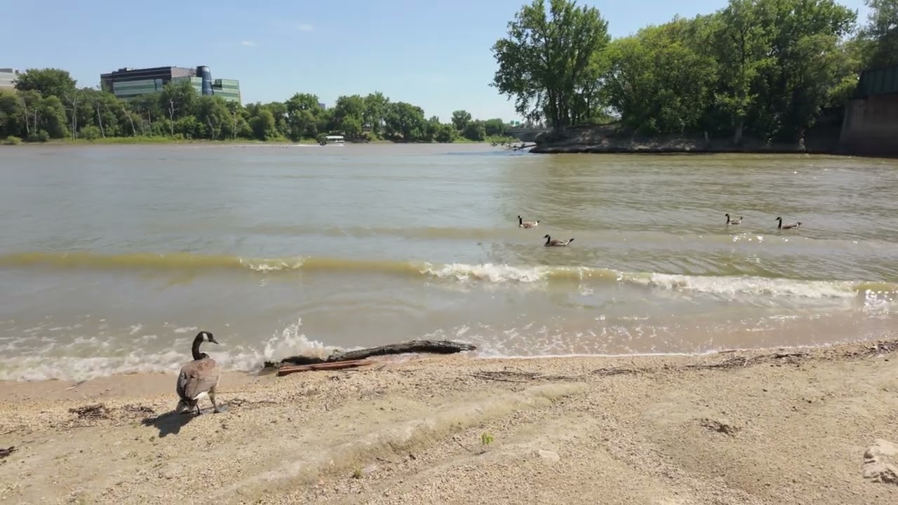 A Walk Through The Forks | Shot Handheld on DJI Pocket 3