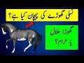 #Historyofhorse#PakistanibestHorse#Punjabrang||How you can buy any horse||Qualities of best horse||