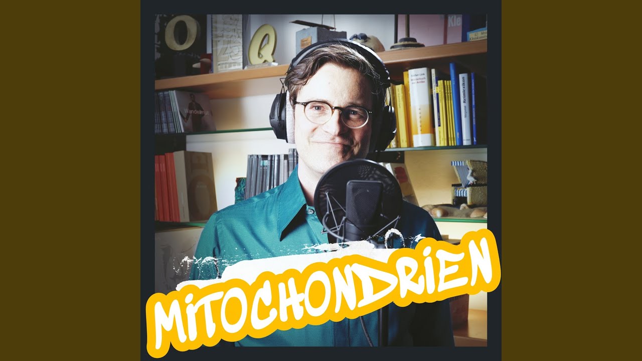 Watch Mitochondrien on YouTube Watch Mitochondrien on YouTube