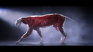 Breakdown: Panthera - A Creature Study