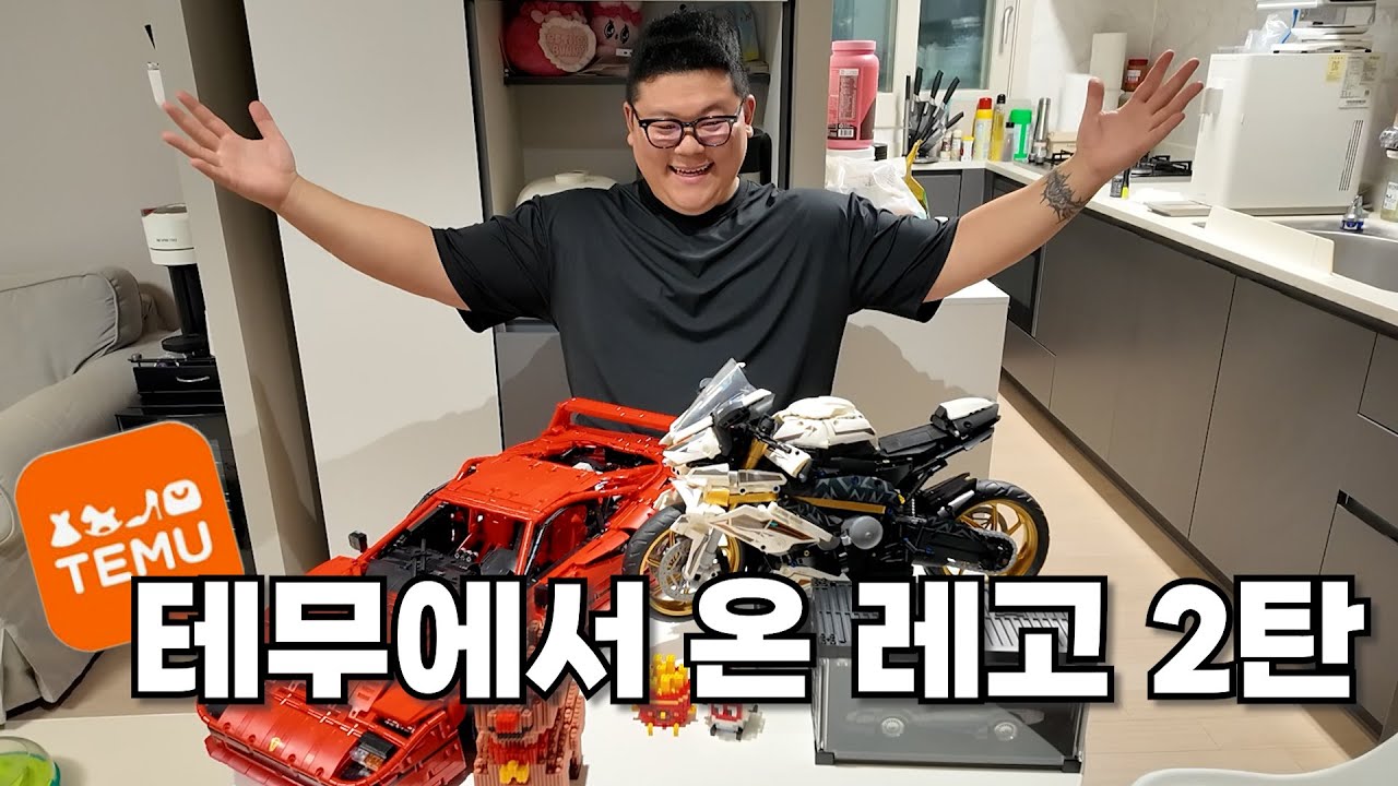 테무에서 온 레고 2탄