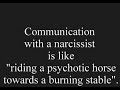 What The Narcissist Meant When They Said...Understanding and Decoding The Narcissist Words