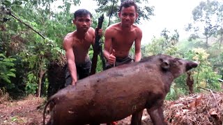 BERBURU BABI HUTAN & AYAM HUTAN😲ROBOHNYA RATU BABI HUTAN JUMBO