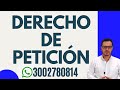 🔴DERECHO de PETICIÓN en COLOMBIA 5 PUNTOS más IMPORTANTES🔴