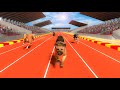 Greyhound Dog Racing Fever Pet Racing Challenge Gameplay 